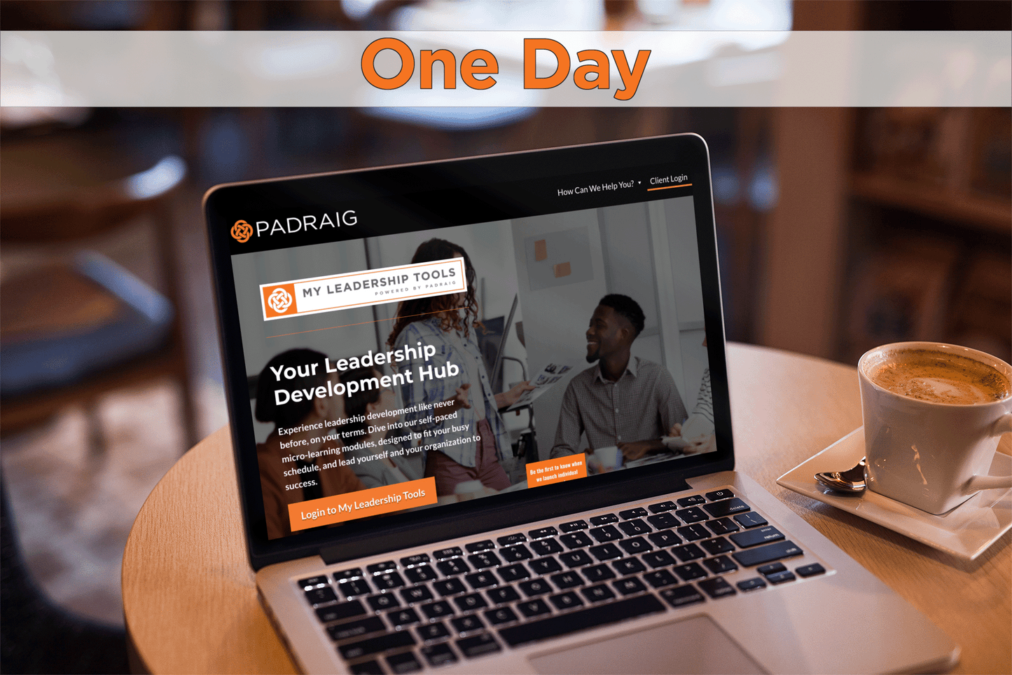 One Day All Access Subscription