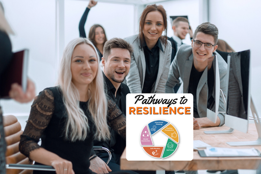 Pathways to Resilience Assessment